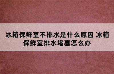 冰箱保鲜室不排水是什么原因 冰箱保鲜室排水堵塞怎么办